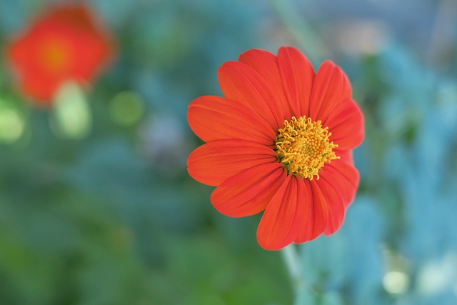 每次胜利都 每次胜利都