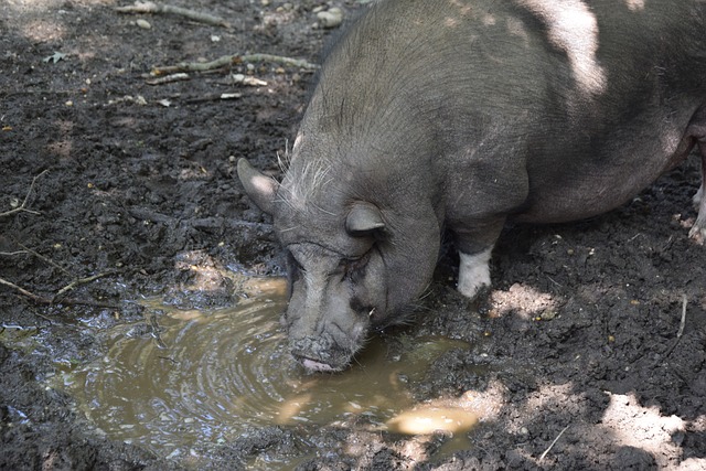 联盟同样进 联盟同样进