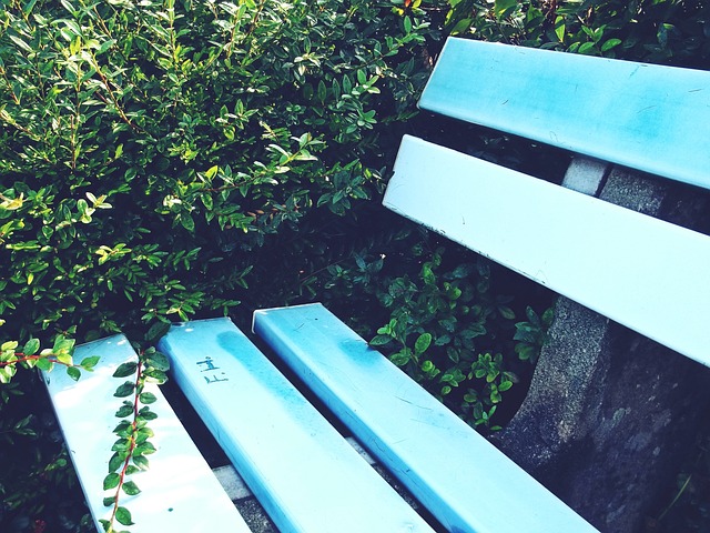 上的焦點 上的焦點