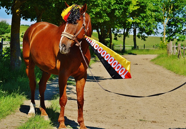 过程中仍存 过程中仍存